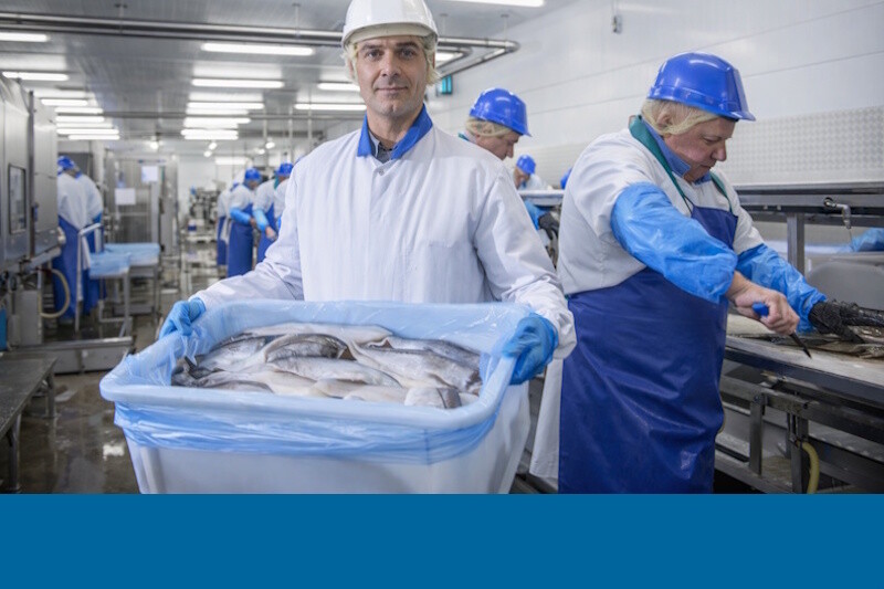 Sehen Sie sich die Produkte an