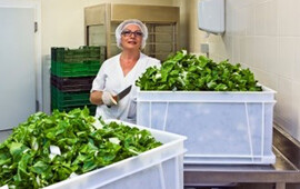 Sehen Sie sich die Produkte an